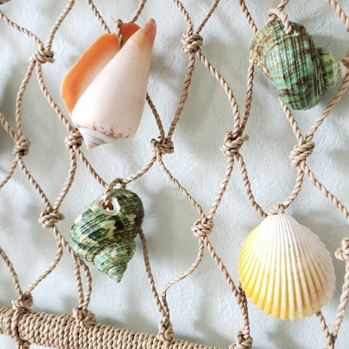 楽天市場】貝のタペストリー S 壁掛け 貝殻 シェル アジアン 