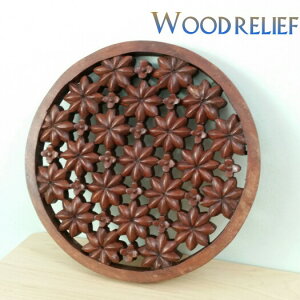 [t@EbhJ[rO ԕ@30cm @Ǌ| pl A[g oG݁@AWACeA