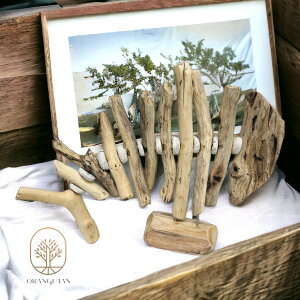 10000484@@؁@EbhtBbV@̒u@EbhIuWF@VR؂̒u@oG݁@AWACeA@J[rO@ؒ