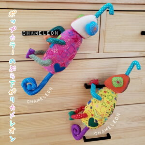 �J�����I���@�l�p�[���G�݁@�Ԃ牺����J�����I���@�p�X�e���J���[�@�h�A�m�u�@�A�W�A���C���e���A