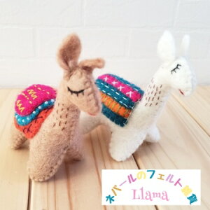 10001573@lp[tFgG݁@N_@rс@}@}@W}@lp[@nhCh@tGg@^@GXjbN@AWAG