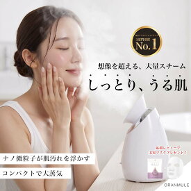 【★楽天1位】フェイススチーマー スチーマー コンパクト 毛穴 保湿 乾燥肌 美顔器【180日保証】ダーマローラー ナノミスト 温スチーム クレンジング 卓上 フェイシャル スキンケア 美肌 うるおい 加湿器 ギフト 母の日 クリスマスプレゼント