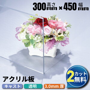 y2JbgzAN LXg  300mm× 450mm 3mm | AN{[h NA Jbg H ANpl AN I[_[Jbg I[_[ nk΍ ЊQ΍  z diy A
