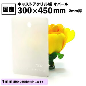 y2JbgzJ[AN LXg Ip[  300mm× 450mm 2mm AN F