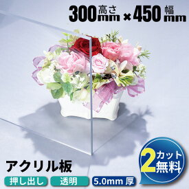 【2カット無料】アクリル板 300×450mm 厚み5mm 透明 押し出し板 オーダーカット | アクリルボード アクリル カット加工 アクリルパネル オーダー カット アクリルプレート クリアボード 板 押出 工作 クリア 切断 ホームセンター 安い