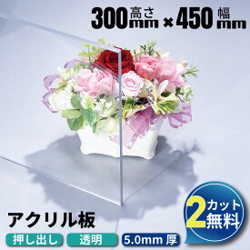 【2カット無料】【ランキング1位受賞!】アクリル板 300×450mm 厚み5mm 透明 押し出し板 オーダーカット | アクリルボード アクリル カット加工 アクリルパネル オーダー カット アクリルプレート クリアボード 板 押出 工作 クリア 切断 ホームセンター 安い