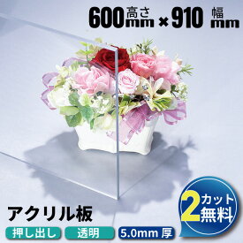 【2カット無料】アクリル板 600mm×910mm 厚み5mm 透明 押し出し板 アクリル|アクリルボード テーブルマット テーブル カット マット 業務用 アクリルプレート オーダーカット クリアボード アクリルパネル 加工 オーダー 押出板 ホームセンター フリーカット 角丸加工
