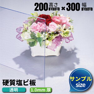 yLTvTCY//Jbgszr  200×300mm 1mm NA [ PVC |rj  ʔ