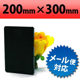 【有償サンプルサイズ/代引き/カット不可】塩ビ板 片面つや消しブラック 200×300mm 厚み2mm