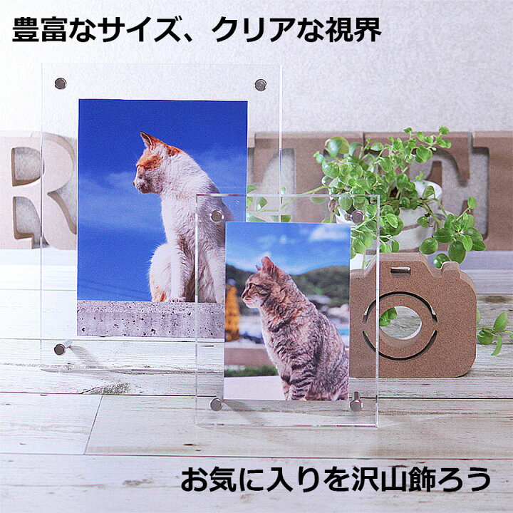 楽天市場】【日本製】フォトフレーム B5判サイズ 232×307mm アクリル製 