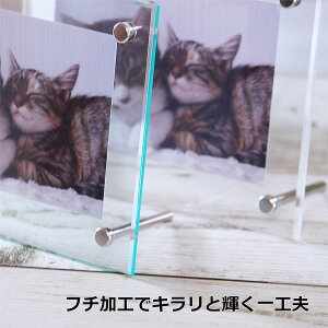 tHgt[ A4TCY J[ /// 260×347mm ʐ^TCY210×297mm Y NA ʐ^ El񂪈^S߂Đ삵Ă܂ ܎O