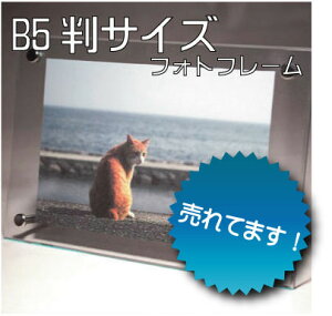 y{ztHgt[ B5TCY 232×307mm AN ʐ^TCY182×275mm AN NA ʐ^ tHgX^h  ʔ Y //KXF/u^/݂艺/ Mt