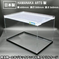 爬虫類ケージ幅60ハイルーフ