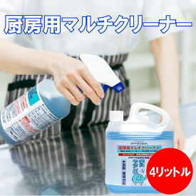 厨房用マルチクリーナー 4リットル 油汚れ 厨房内 床掃除 テーブル汚れ シンク 換気扇 レンジ シューズ スリッパ 機械油 食用油 タイヤ痕 汚れ落とし 消臭 除菌効果 オーブ・テック スペースショット
