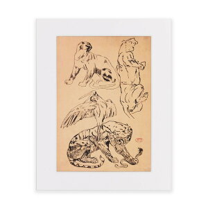 �J���e�B�G�W CARTIER ���� �I�t�B�V�����O�b�Y �W���� ���p�� �}�E���g�v�����g �|�X�^�[ �C���e���A �G�� �A�[�g �����h��V&A������ �p���e�[���̗��K V&A CARTIER Etudes de pantheres for Cartier