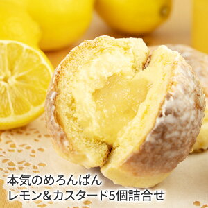 cf023 V {Ĉ߂ς@&JX^[h5l pَqp ͂Ăǂ XC[cp Mtg   A yY ԈȊO I[`[h 󓹍`