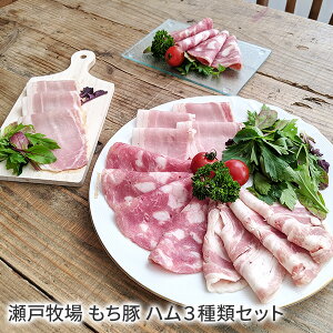 mi005 ˖q  n3ރZbg Y  Mtg 蕨   䒆 A I[`[h 󓹍`