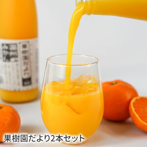 st010 ʎ2{Zbg ʏ`100% Y LY W[X ʎΕ Mtg 蕨   I[`[h 󓹍`