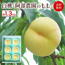 st012 阿部農園のもも（1箱（5～7玉）約1.3kg）桃 白桃 お取り寄せ ギフト フルーツ 果物 季節限定 お中元 帰省 手土産 オーチャード 空道港