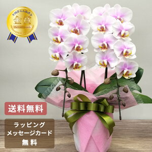 Ӓ  ~fB P2{  Mtg sN j ̓ ̓ JXj ސEj JƏj җ Ύ Ê  P Ď   S j  2025