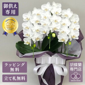 Ӓ X[p[A}rX3{ Ӓ ySmi]܎܌Ӓz Ӓ    ~fB  A   ~ V~ ފ @v   