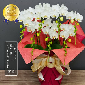 Ӓ X[p[A}rXfbNX7{  A  ~fB  Ӓ  Mtg v[g 񂹐A  j ̓ ̓ a ސEj JƏj JXj j 