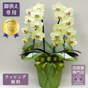 Ӓ tH[`Uc}2{ ySmi]܎܌Ӓz Ӓ   ~fB F CG[  A ~ V~ ފ @v   2025