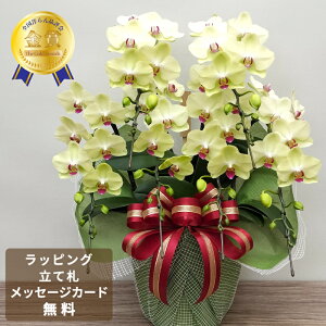 Ӓ tH[`Uc}fbNX6{  ~fB  A 񂹐A  Mtg v[g F CG[ j ̓ ̓ a ސEj JƏj JXj j 