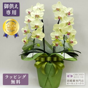 Ӓ tH[`Uc}2{ ySmi]܎܌Ӓz Ӓ   ~fB F CG[  A ~ V~ ފ @v   2025