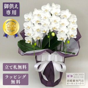 Ӓ X[p[A}rX3{ Ӓ ySmi]܎܌Ӓz Ӓ    ~fB  A   ~ V~ ފ @v   