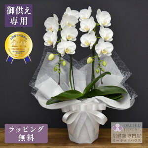 Ӓ X[p[A}rX2{ pySmi]܎܌Ӓz Ӓ   ~fB    A ~ V~ ފ @v  