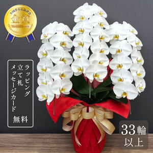 Ӓ   LOfbNX3{ 33ֈȏ  Mtg  j JXj JƏj J@j Mj ͏j j a 