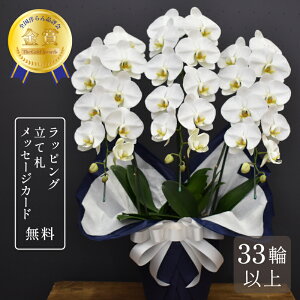 Ӓ   LOfbNX3{ 33ֈȏ Ӓ     ~ V~ ފ  @v 