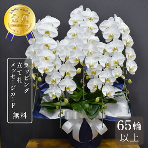 Ӓ 65ֈȏ LOGNZg5{       A ~ V~ ފ  @v  Ӓ  