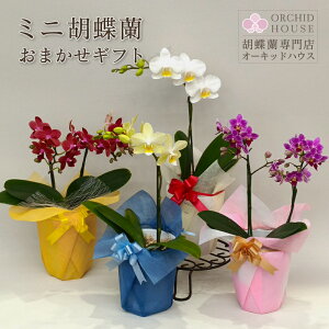 ~jӒ 1{ 2{ j Ӓ ~j   Mtg v[g A  j a ̓ ̓ җ Ê  P Ď  j ܂ 2025