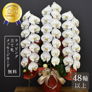 Ӓ 48ֈȏ zCgbL[3{ySmi]܎܌Ӓz    j Ӓ Mtg j v[g A JXj JƏj J@j ACj vHj 