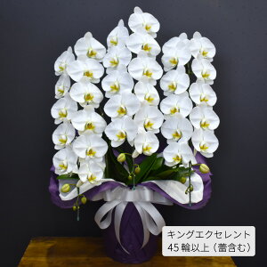 Ӓ    3{i33ց`^42ց`^45ց`j     ~ V~ ފ  @v ӒX A  Ԕ 