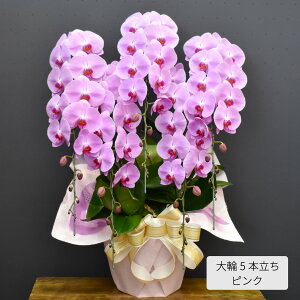 Ӓ  5{ 60ց`i^sN^~bNXjj JXj   JXj JƏj ړ]j ACj i vH  җ ސE ӒX