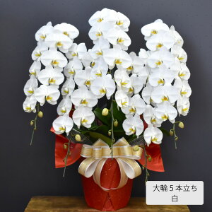 Ӓ  5{ 60ց`i^sN^~bNXjj JXj   JXj JƏj ړ]j ACj i vH  җ ސE ӒX