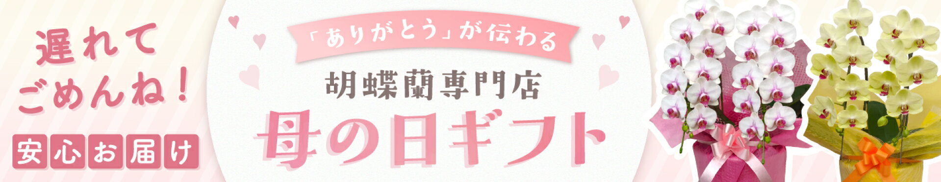 母の日2026特集ページ