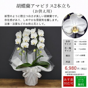 胡蝶蘭 お供えの人気商品 通販 価格比較 価格 Com