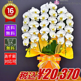 楽天市場 新社屋 お祝いの通販