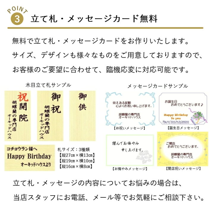 楽天市場 胡蝶蘭大輪ホワイトロッキー3本立 全国洋らん品評会金賞受賞胡蝶蘭 開店祝い 開業祝い 開院祝い 就任祝い 移転祝い 昇任祝い ご退職祝い 送料無料 ラッピング無料 メッセージカード無料 立て札無料 高品質 お祝い 白 花 胡蝶蘭の専門店オーキッドハウス