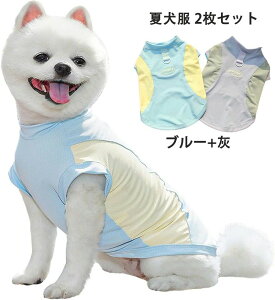  2  Ђ ̕ t TVc ybg ^Ngbv ʋCbV Cg xXg  Ăh 񂱕  ^ L