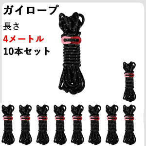 KC[v eg[v Lv [v ^[v[v pR[h 10{/Zbg 4M ߉\ ˍޓ ݋&[ܕt ω׏d350kg Lvpi eg݉c