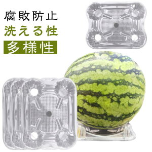 100Zbg XCJ}bg t[c}bg XCJ 󂯎M Q h~ e 100   ڂp\ |t[ ynɗ ʕ̉~  ʕA  XC