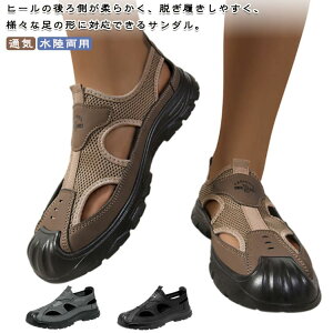 T_ Y X|[cT_ ėp AEghA EH[LOV[Y ₷  ČC  ʋC y h   Ȃ oR p ʊw ʋ 풅p