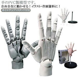 L ���� ���� �E�� R �n���h���f�� 1/1 �o�C�I�j�b�N�w�֐� �O���[ �Ȃ�����X�^���h�t�� �A�j�� �f�b�T���p�f�̔��p �t�B�M���A �z���C�g �l�C���`�b�v�t�� �X�L���J���[ 1/1 �n���h �͌^ 