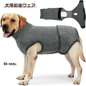 ywŗLzp p㕞 p hbOEGA LbgEFA ȒPE ^ Lp ybgp Ckp lRp }WbNe[v Cbh O[ ی 畆ی ی앞 