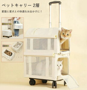 ybgL[ 2w 2C ybgL[obN LX^[t 2w 2C L  L L[obO 2Cp  ybg o  L 4 2C L L[ 2C 萫 ybgL[ 2C 